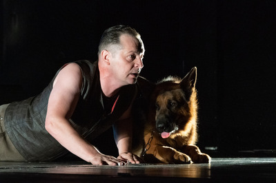Nagy Csongor Zsolt - © theater.hu - Ilovszky  Béla